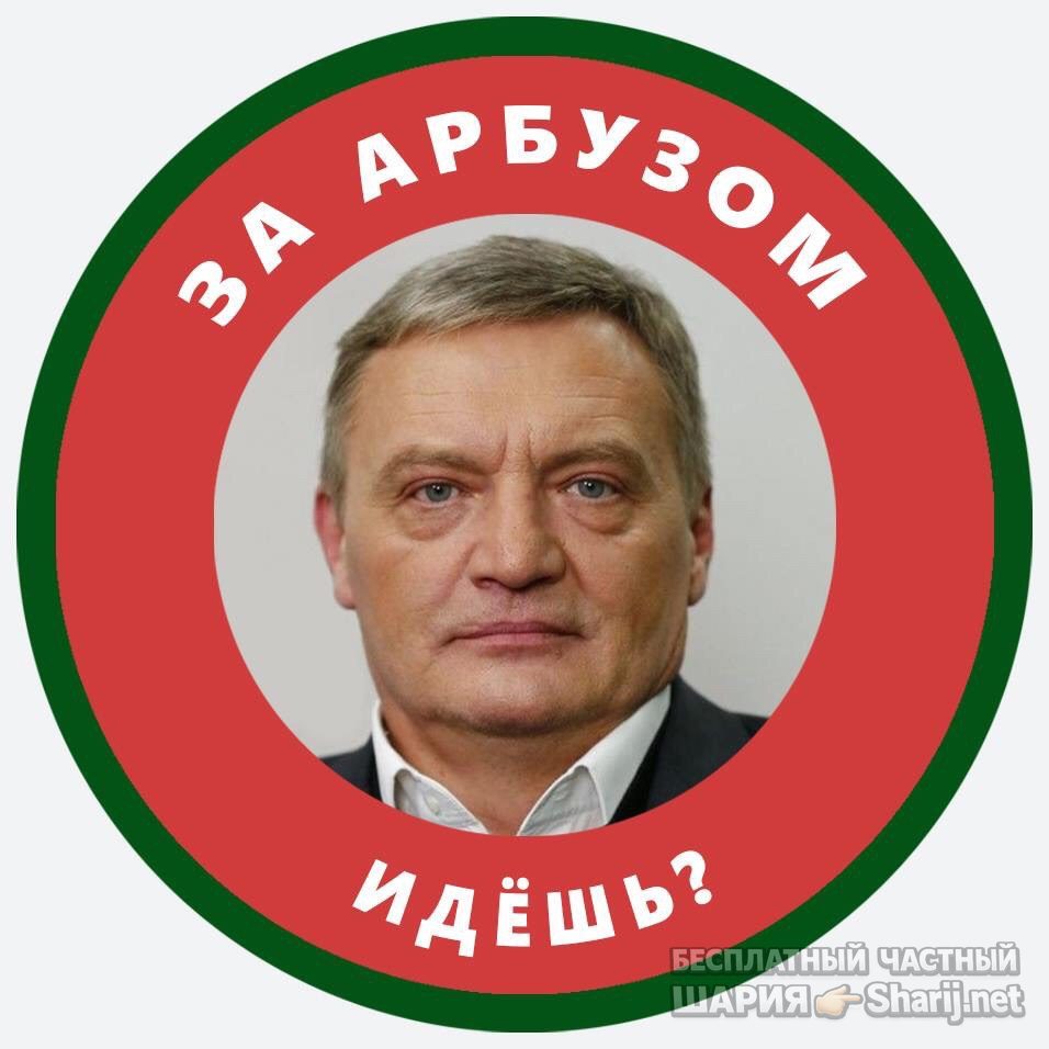 Анатолий Шарий Telegram канал — фото из публикации