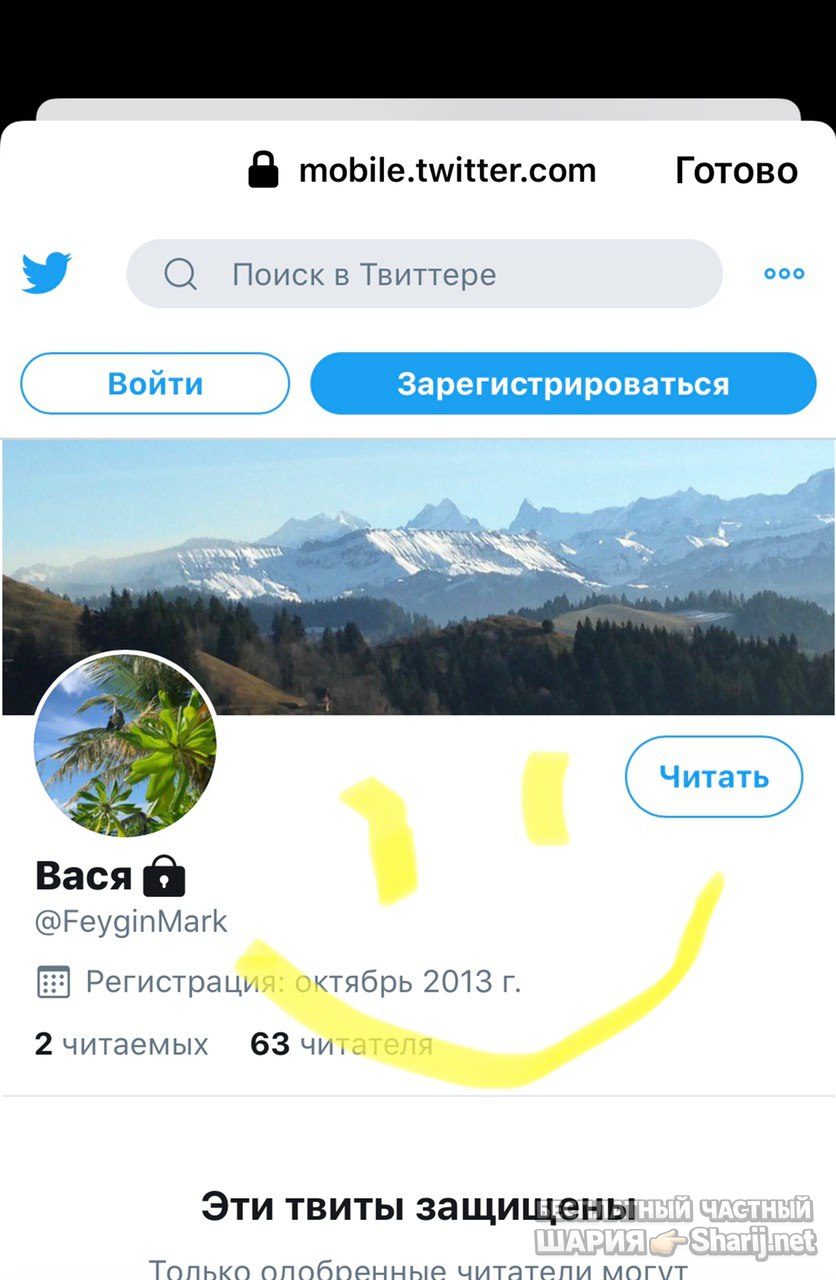 Анатолий Шарий Telegram канал — фото из публикации