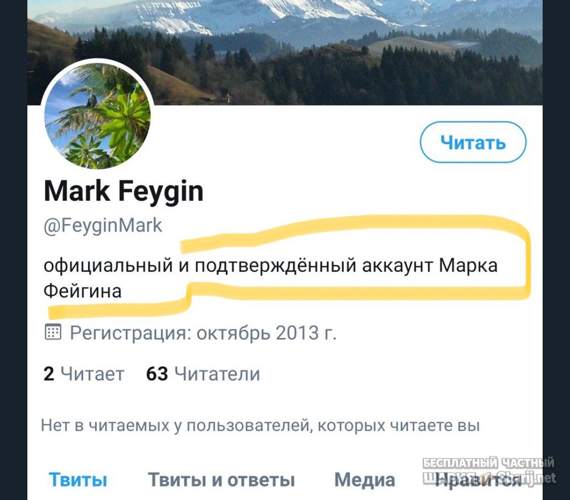 Анатолий Шарий Telegram канал — фото из публикации