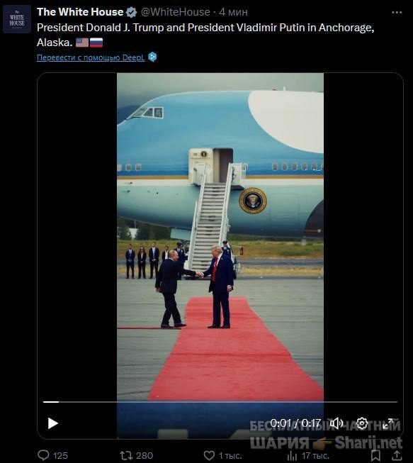 Анатолий Шарий Telegram канал — фото из публикации