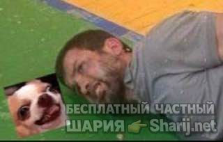 Анатолий Шарий Telegram канал — фото из публикации