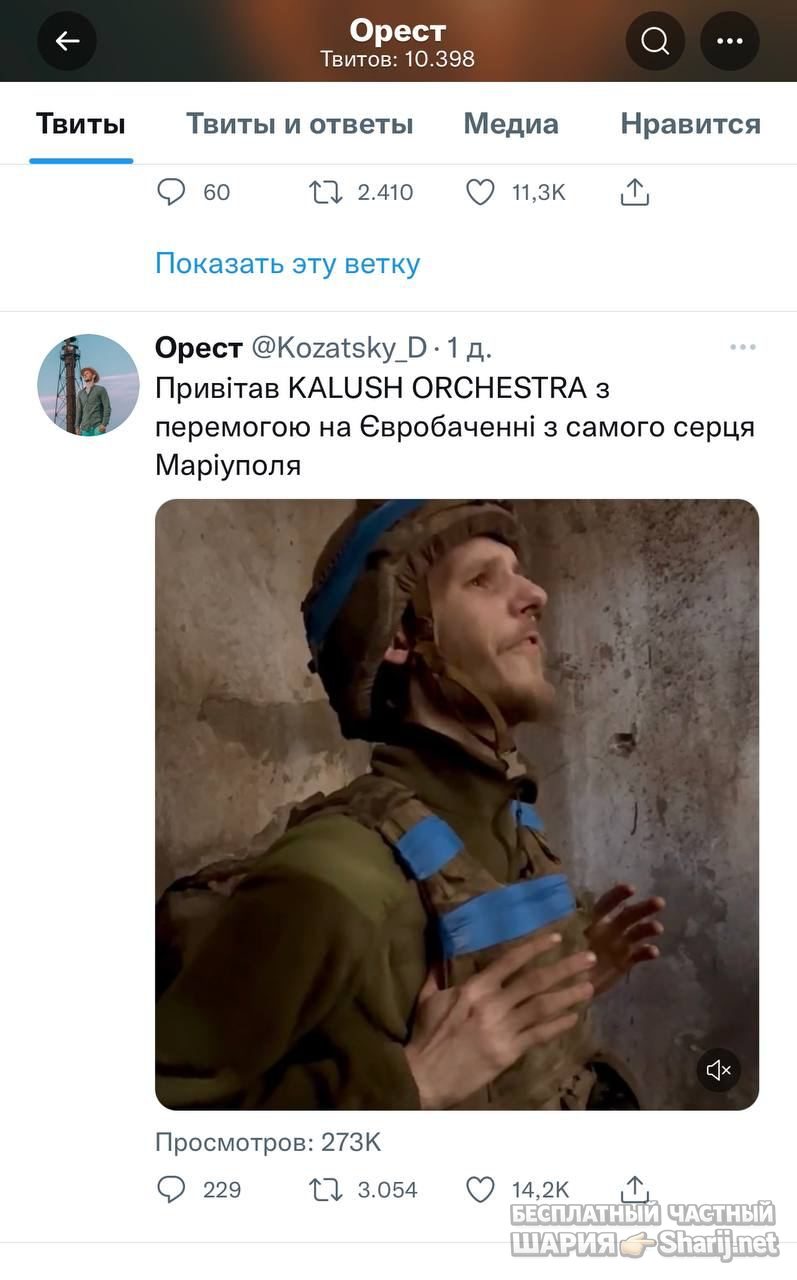 Анатолий Шарий Telegram канал — фото из публикации