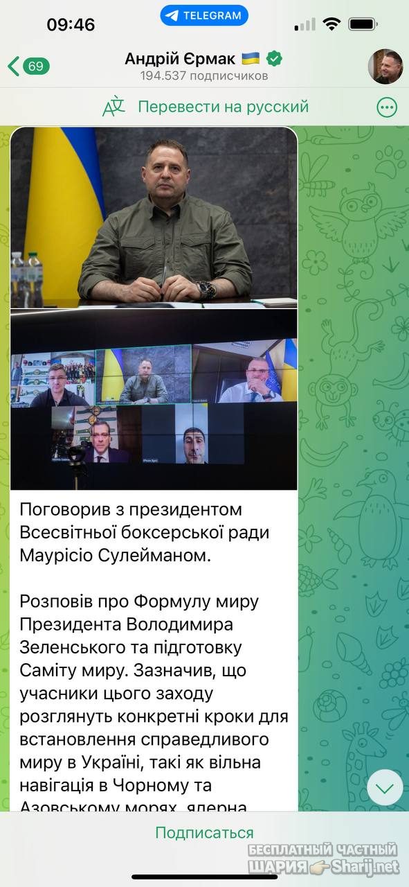 Анатолий Шарий Telegram канал — фото из публикации