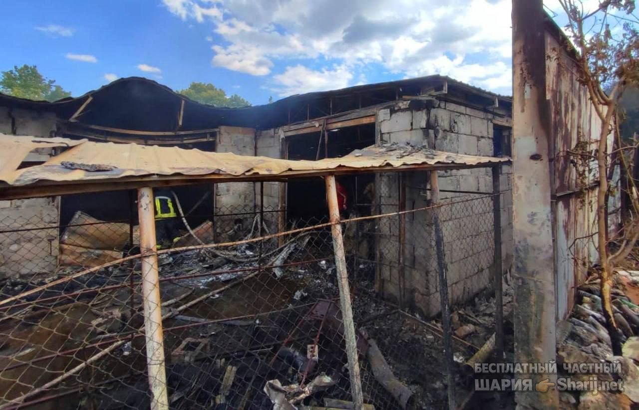 Анатолий Шарий Telegram канал — фото из публикации