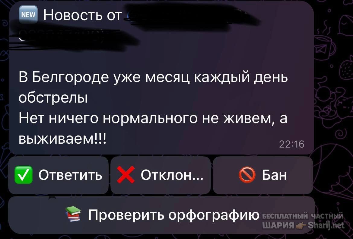 Анатолий Шарий Telegram канал — фото из публикации