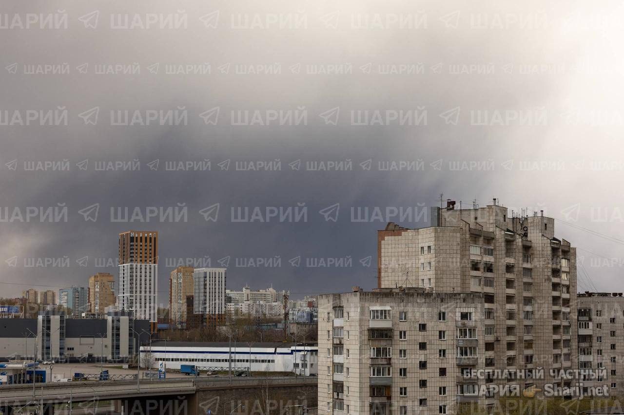 Анатолий Шарий Telegram канал — фото из публикации
