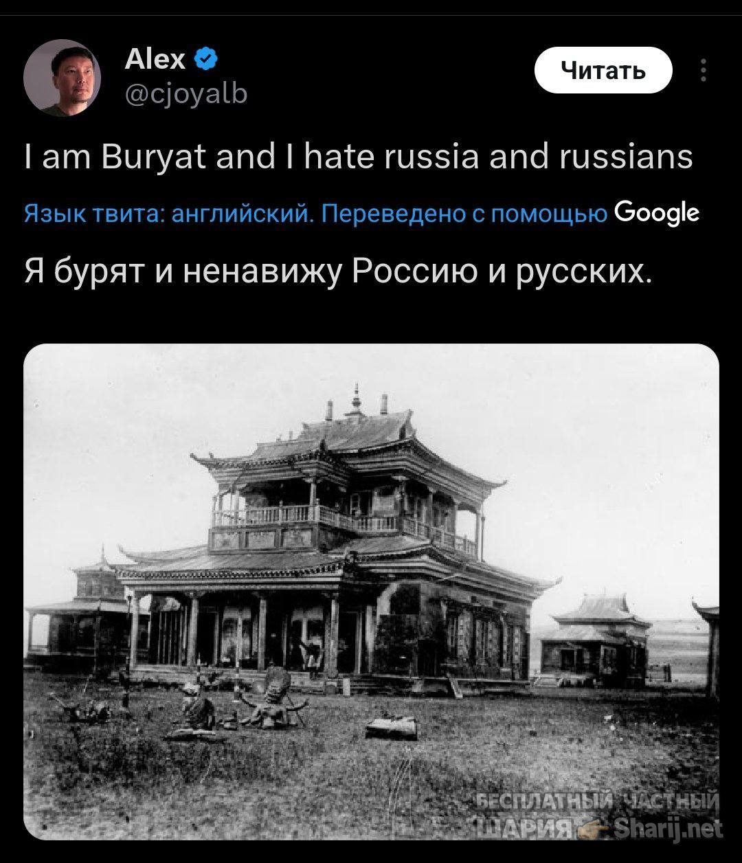 Анатолий Шарий Telegram канал — фото из публикации