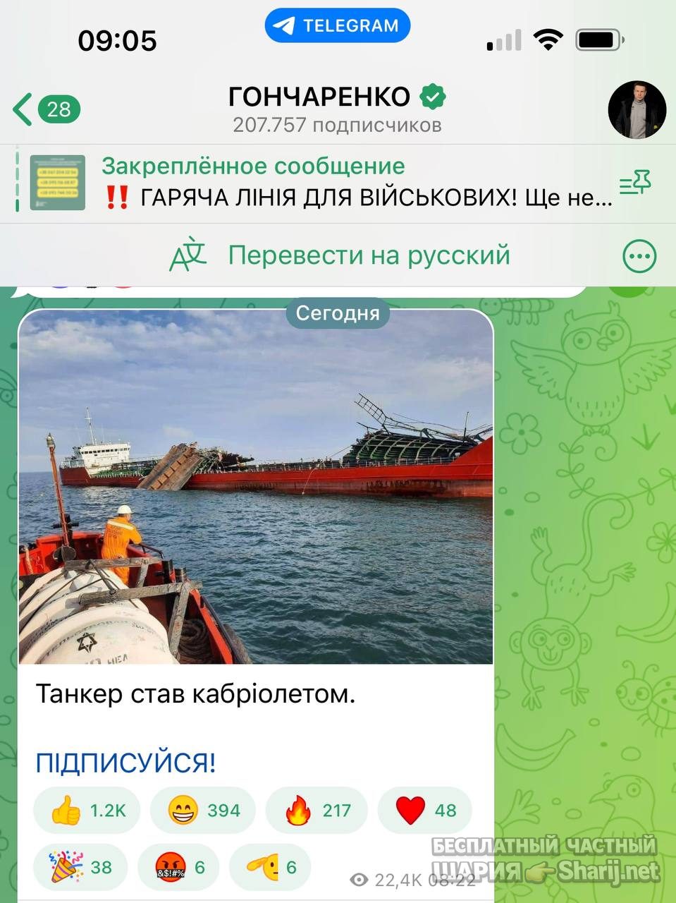Анатолий Шарий Telegram канал — фото из публикации
