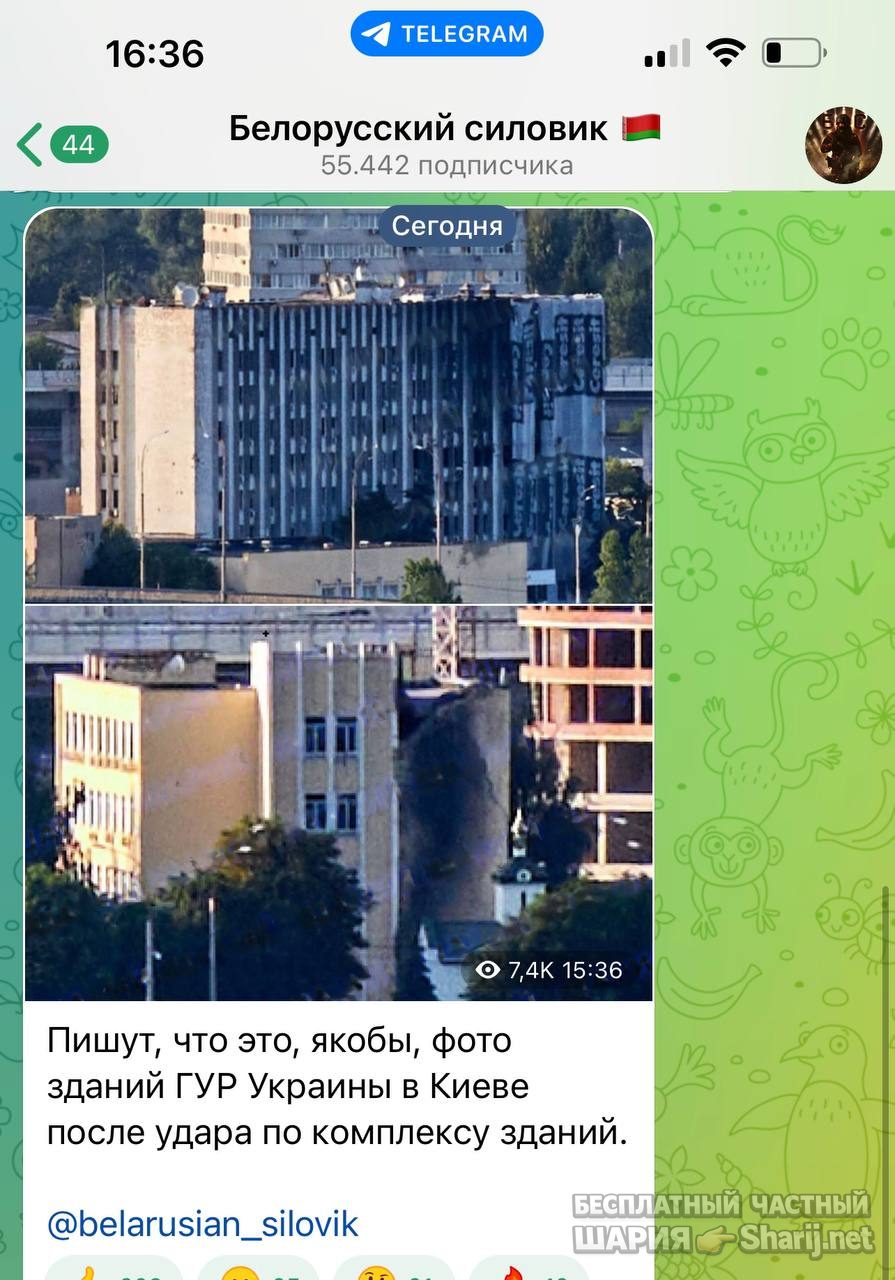 Анатолий Шарий Telegram канал — фото из публикации