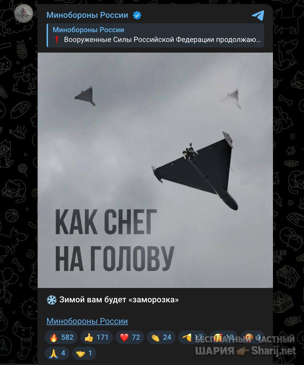 Анатолий Шарий Telegram канал — фото из публикации