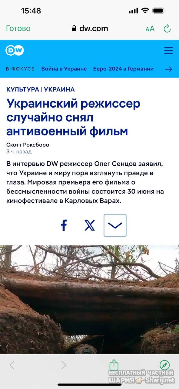 Анатолий Шарий Telegram канал — фото из публикации