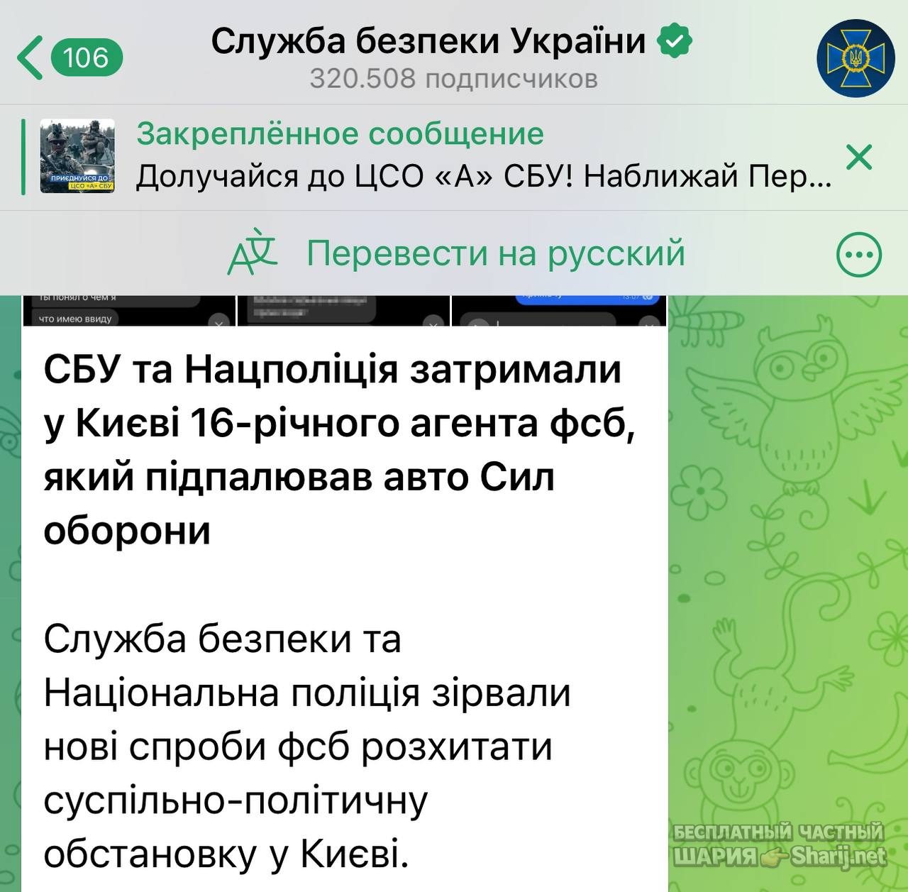 Анатолий Шарий Telegram канал — фото из публикации