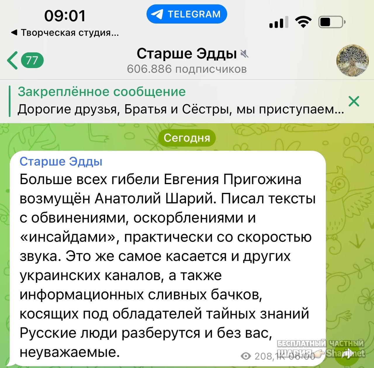 Анатолий Шарий Telegram канал — фото из публикации