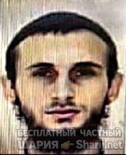 Анатолий Шарий Telegram канал — фото из публикации