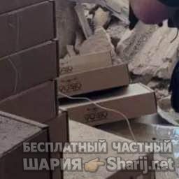 Анатолий Шарий Telegram канал — фото из публикации
