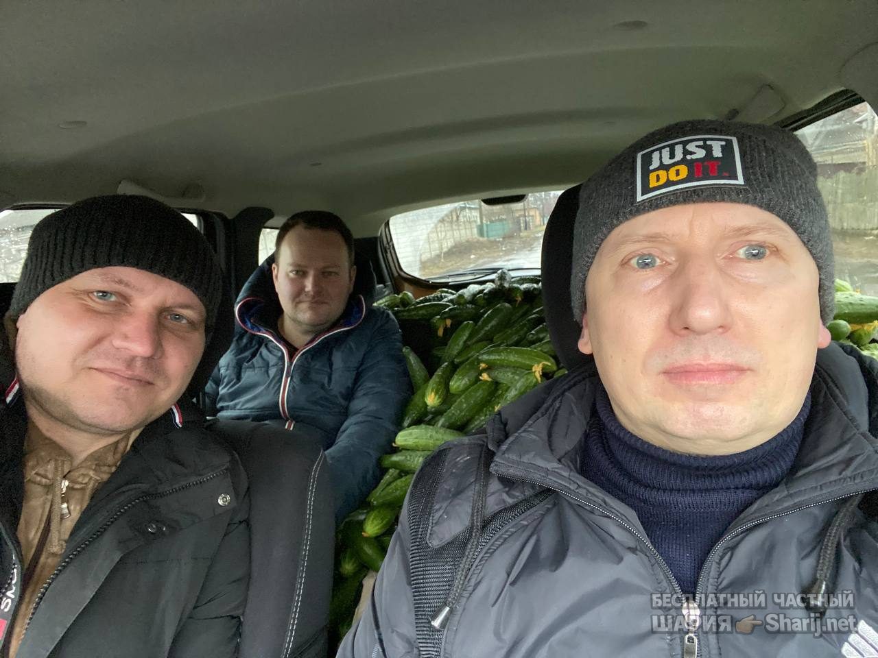 Анатолий Шарий Telegram канал — фото из публикации