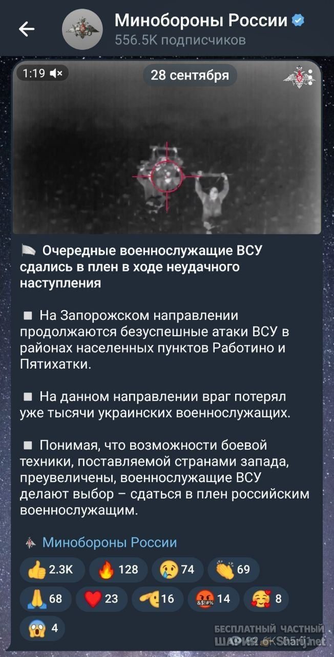 Анатолий Шарий Telegram канал — фото из публикации