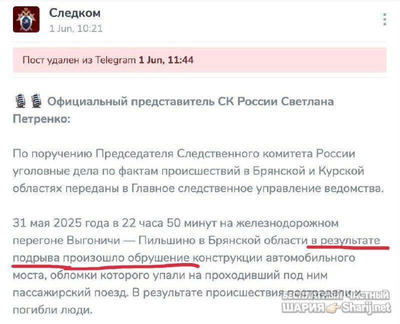 Анатолий Шарий Telegram канал — фото из публикации
