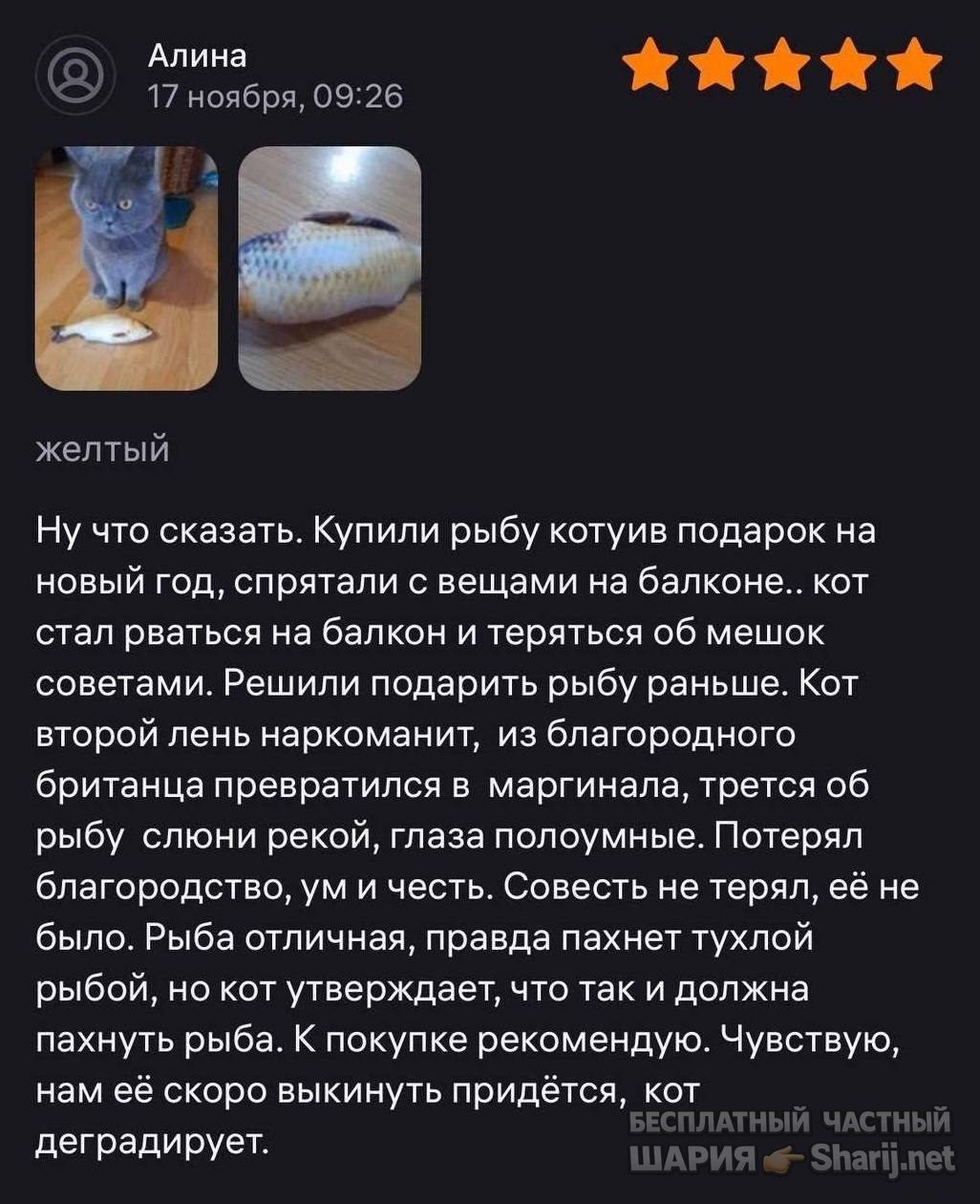 Анатолий Шарий Telegram канал — фото из публикации