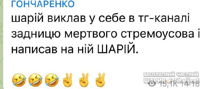 Анатолий Шарий Telegram канал — фото из публикации