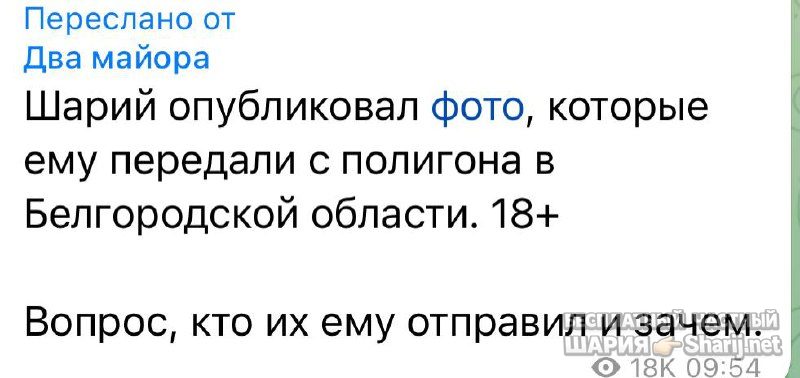Анатолий Шарий Telegram канал — фото из публикации
