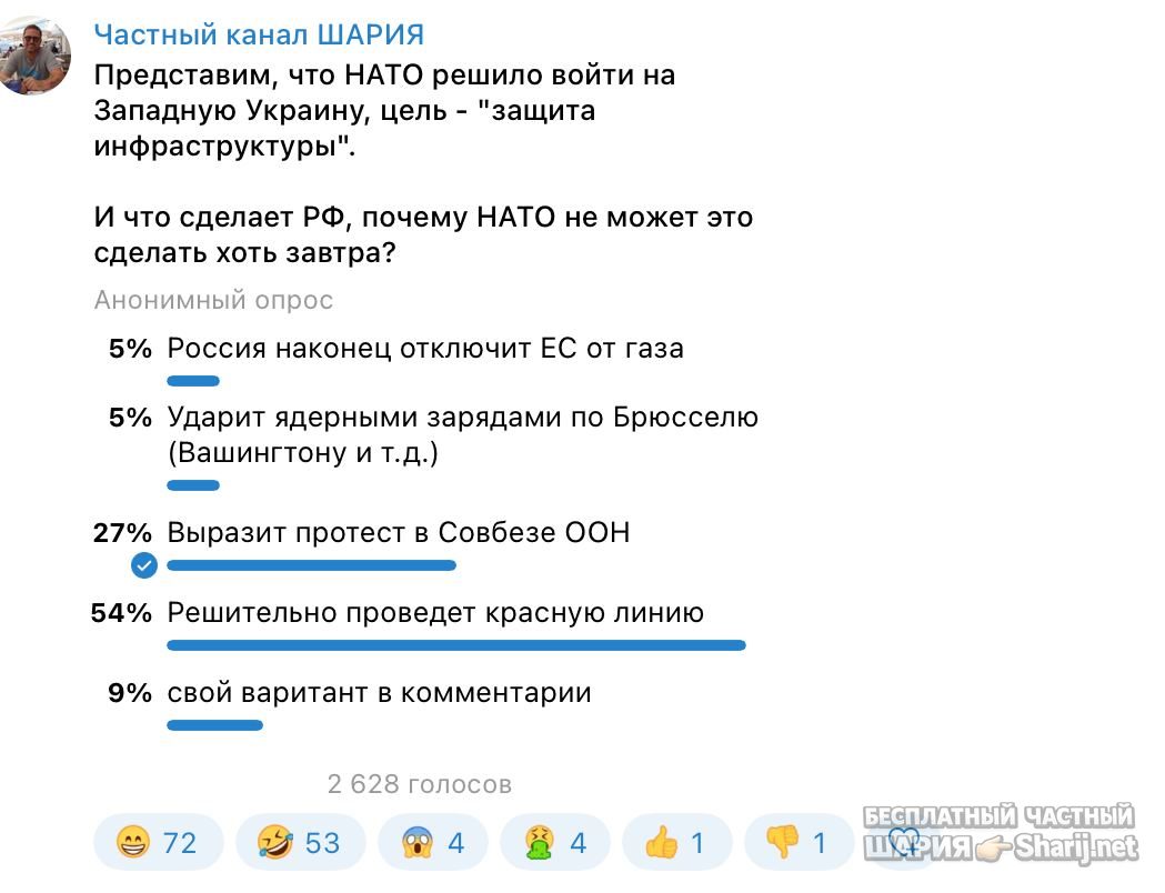 Анатолий Шарий Telegram канал — фото из публикации