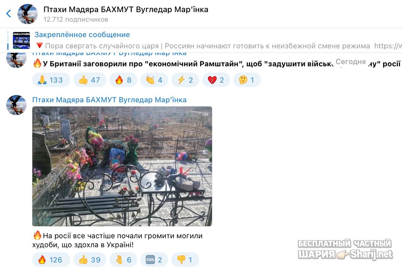 Анатолий Шарий Telegram канал — фото из публикации