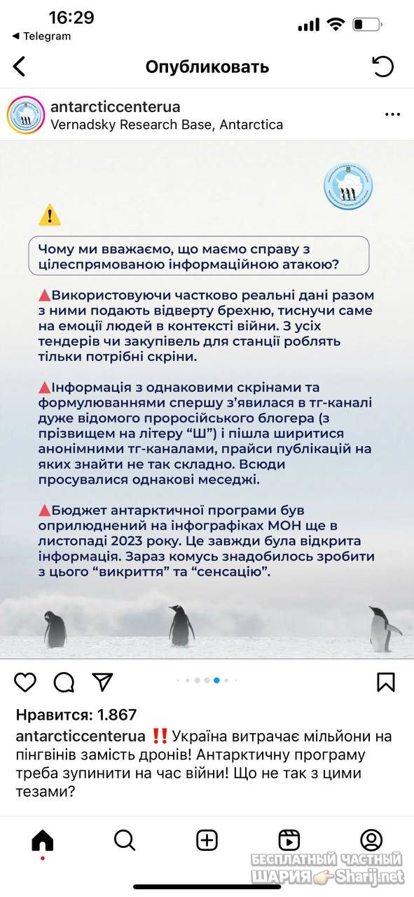 Анатолий Шарий Telegram канал — фото из публикации