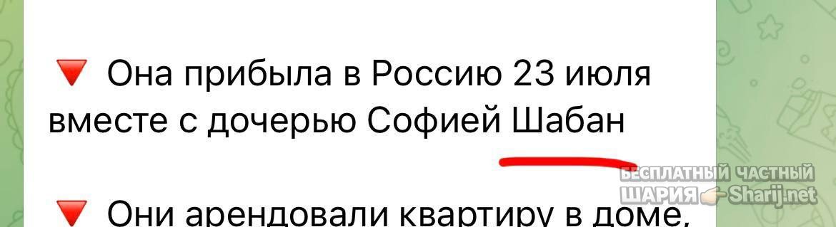 Анатолий Шарий Telegram канал — фото из публикации