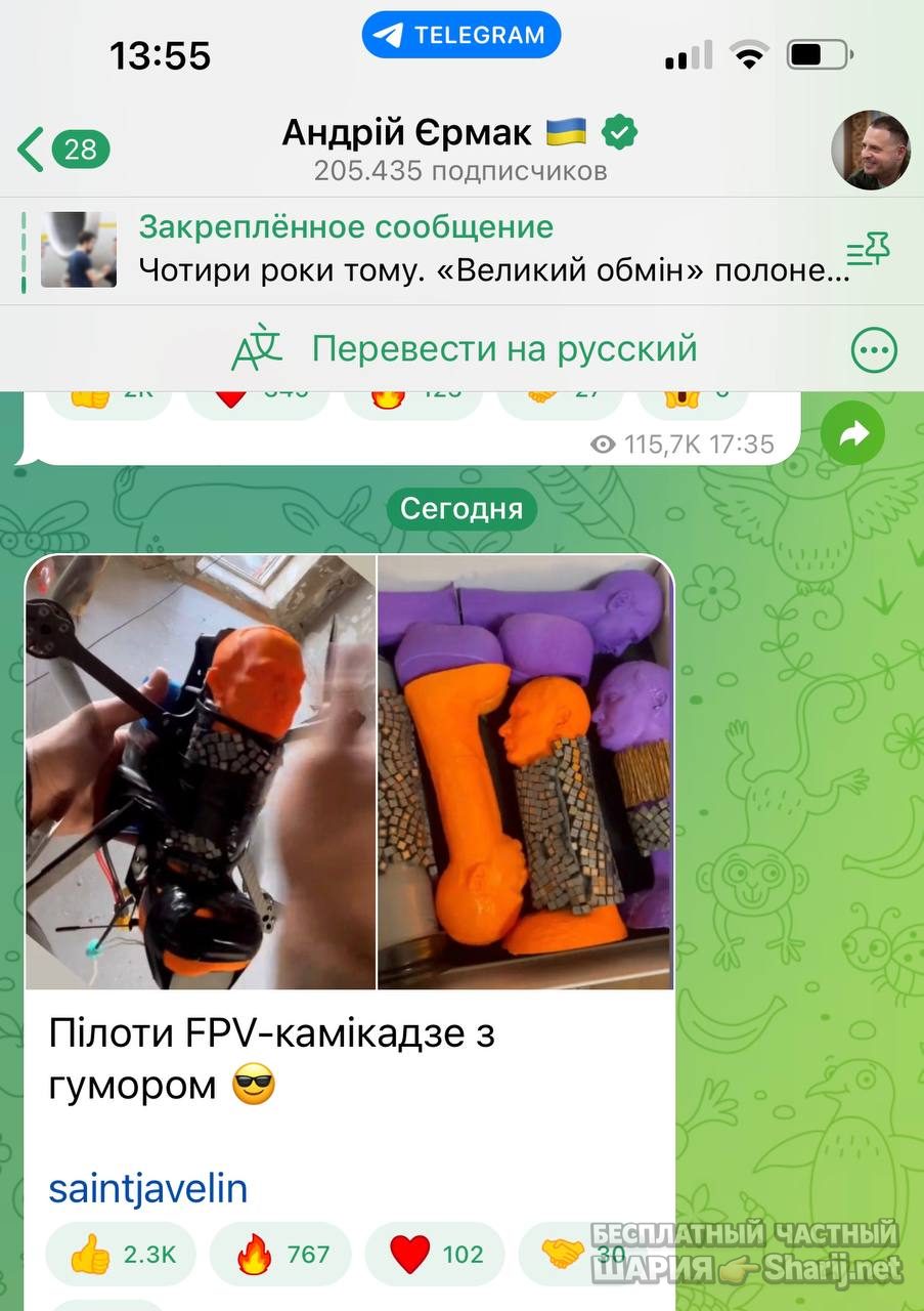 Анатолий Шарий Telegram канал — фото из публикации