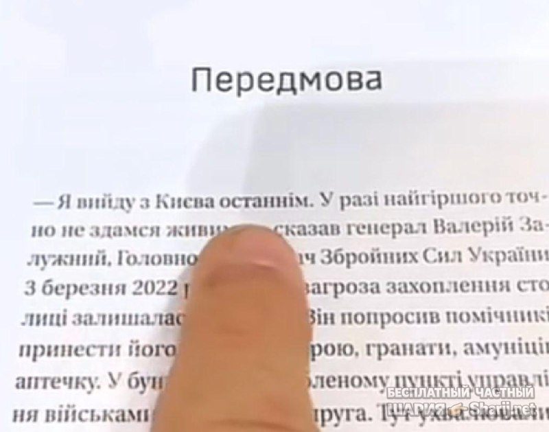 Анатолий Шарий Telegram канал — фото из публикации