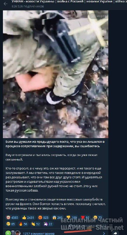 Анатолий Шарий Telegram канал — фото из публикации
