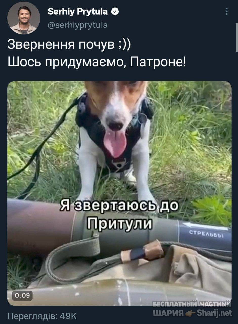 Анатолий Шарий Telegram канал — фото из публикации