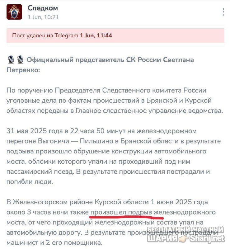 Анатолий Шарий Telegram канал — фото из публикации