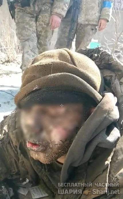 Анатолий Шарий Telegram канал — фото из публикации