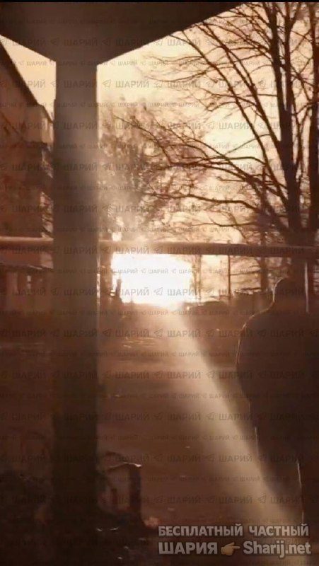Анатолий Шарий Telegram канал — фото из публикации