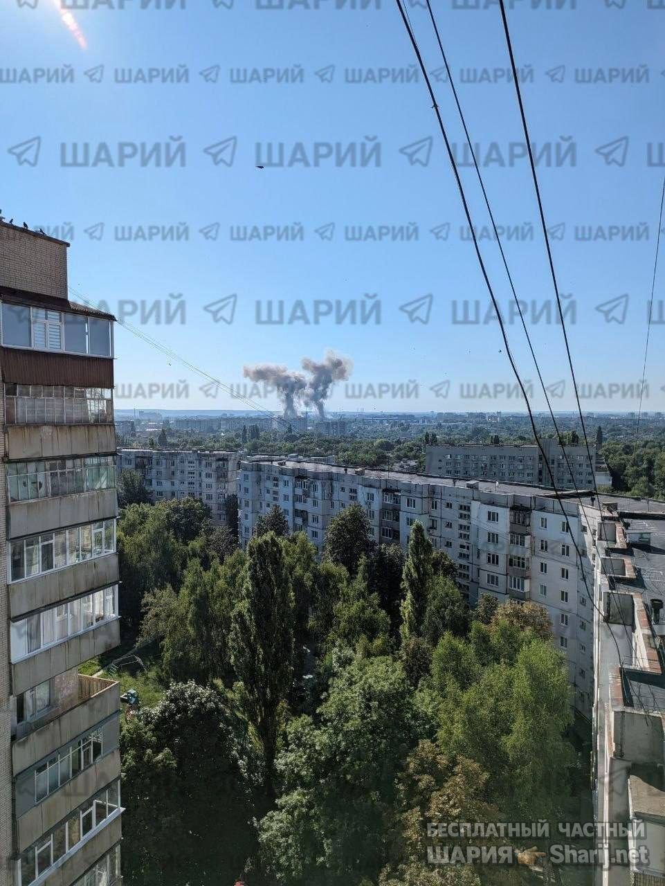 Анатолий Шарий Telegram канал — фото из публикации