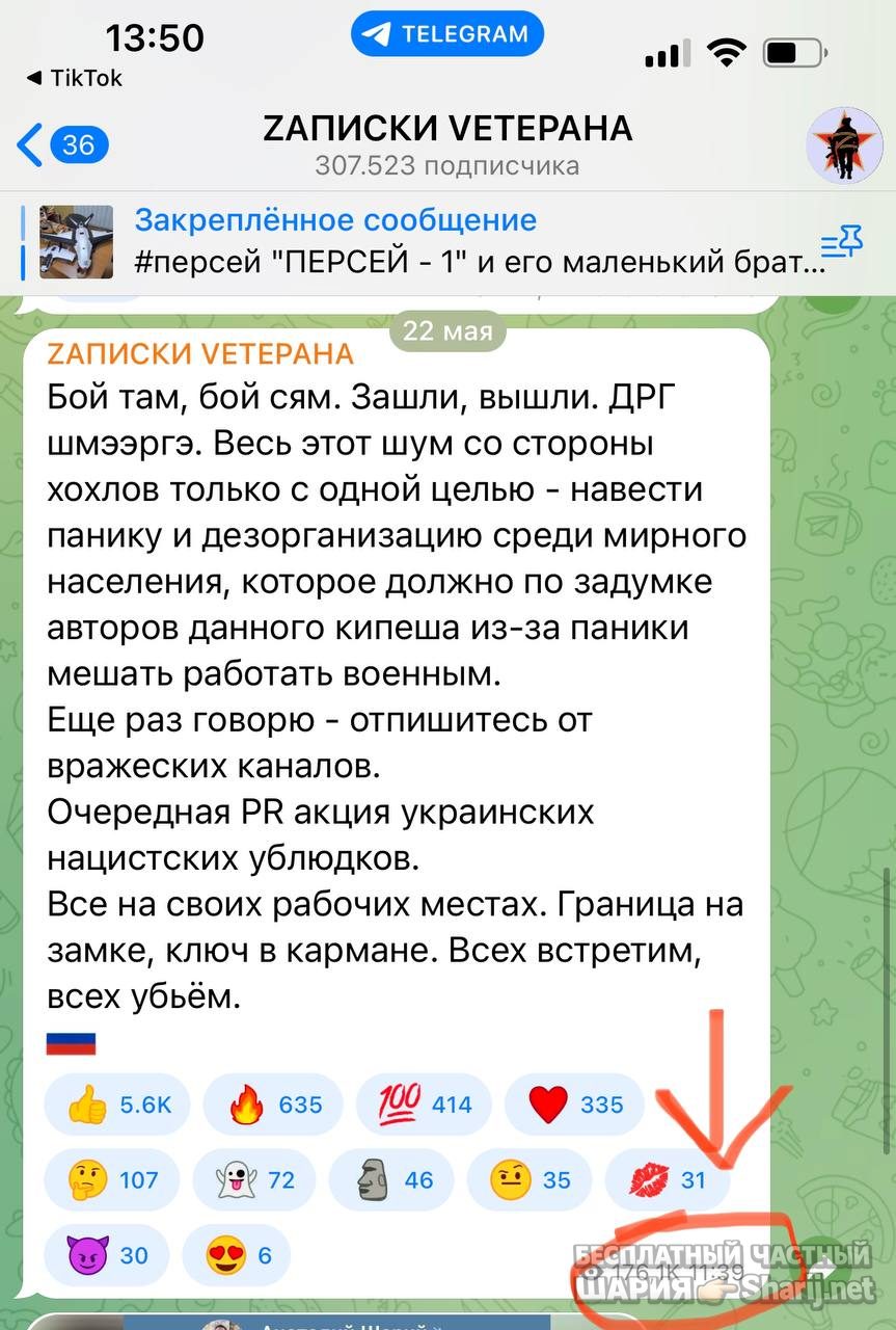 Анатолий Шарий Telegram канал — фото из публикации