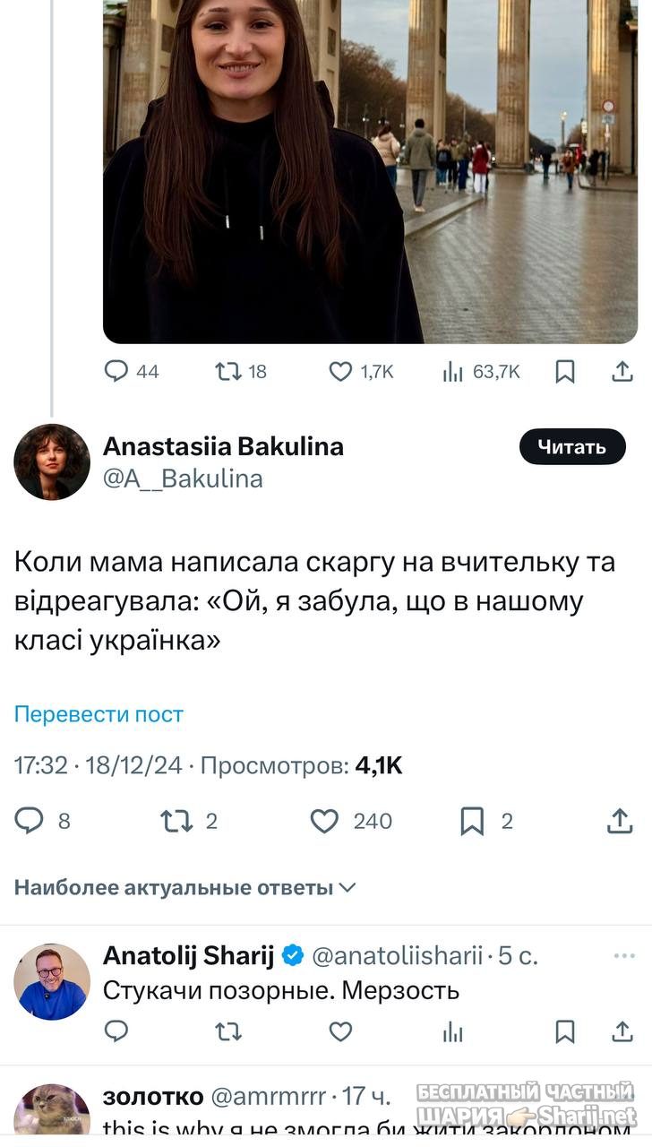 Анатолий Шарий Telegram канал — фото из публикации