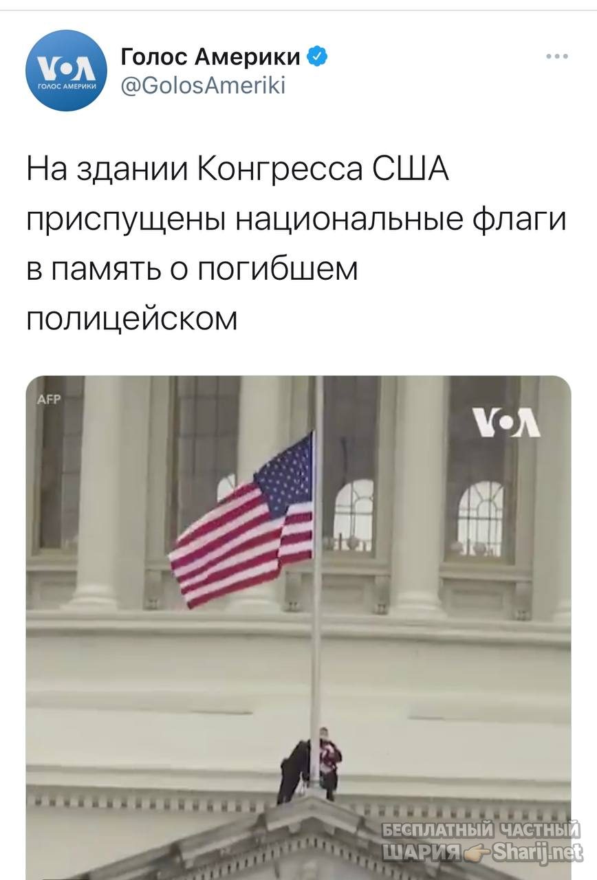 Анатолий Шарий Telegram канал — фото из публикации