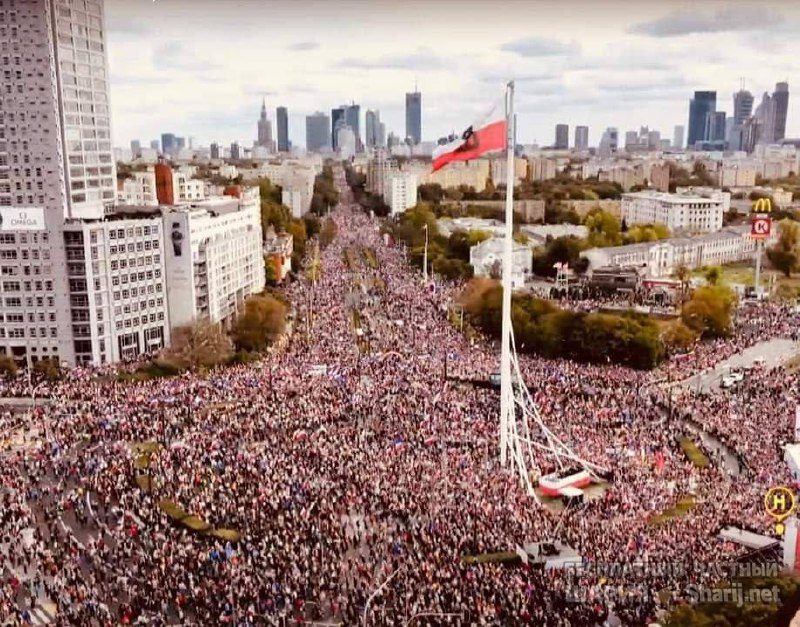Анатолий Шарий Telegram канал — фото из публикации