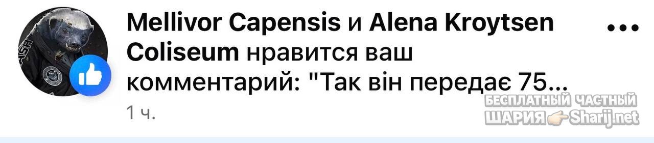 Анатолий Шарий Telegram канал — фото из публикации