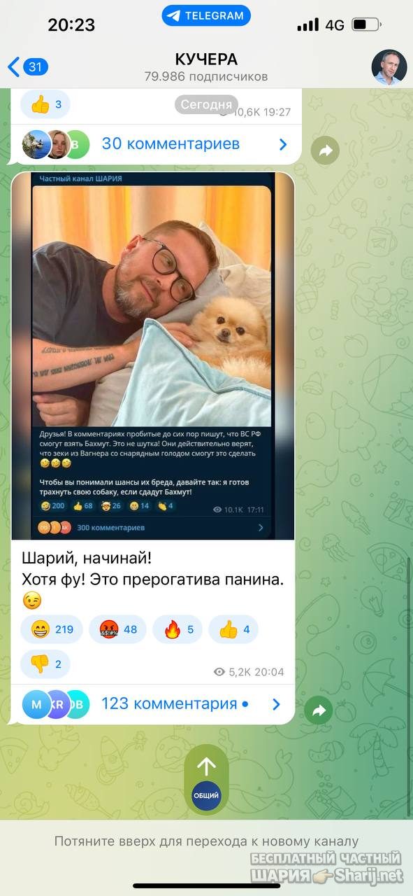 Анатолий Шарий Telegram канал — фото из публикации