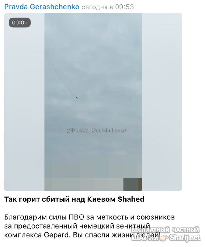 Анатолий Шарий Telegram канал — фото из публикации