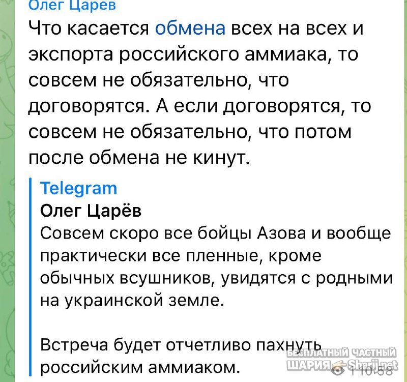 Анатолий Шарий Telegram канал — фото из публикации