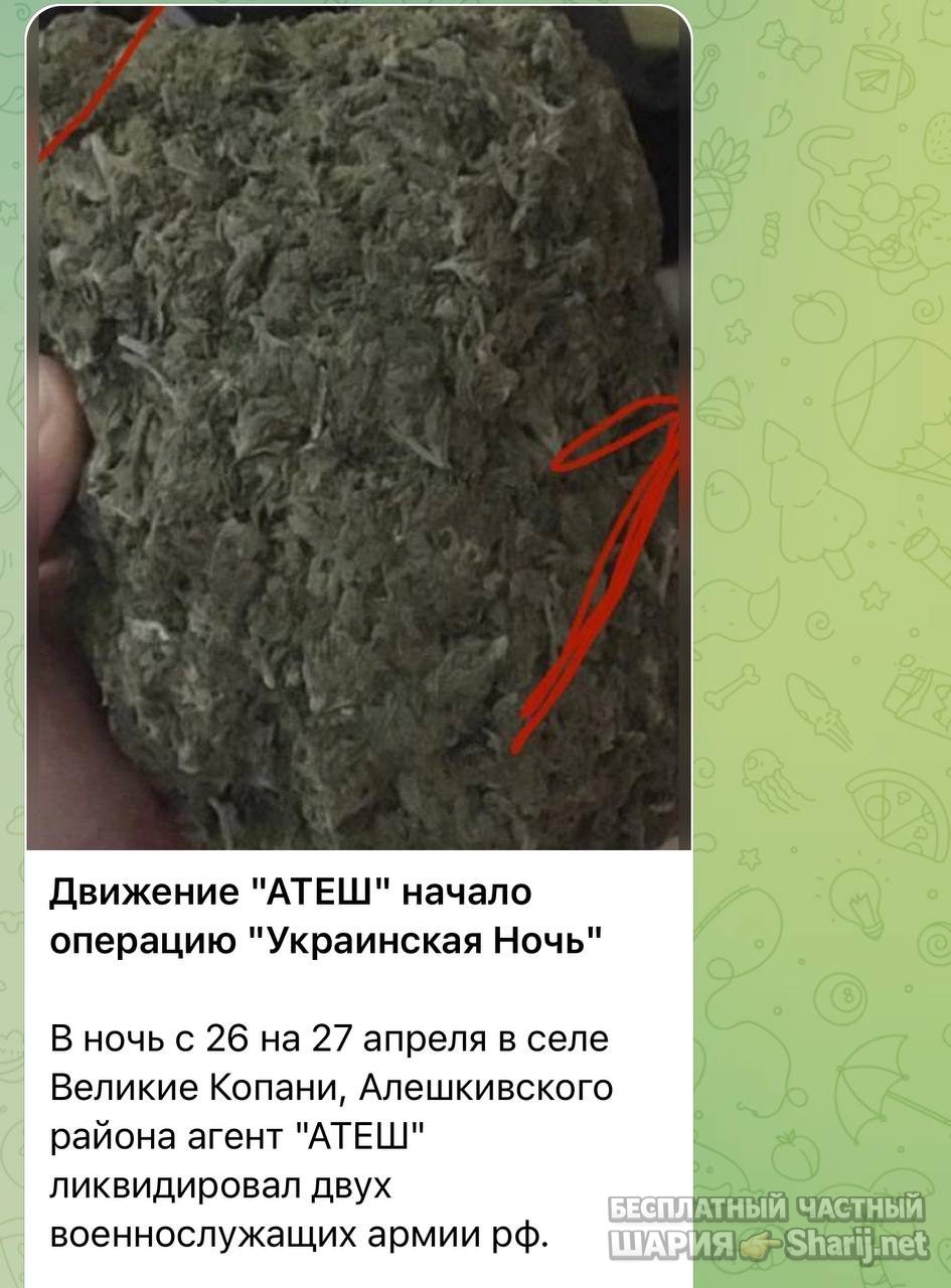Анатолий Шарий Telegram канал — фото из публикации