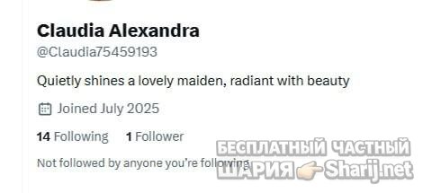 Анатолий Шарий Telegram канал — фото из публикации