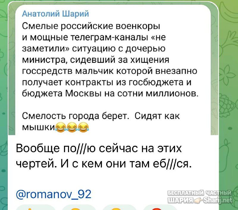 Анатолий Шарий Telegram канал — фото из публикации