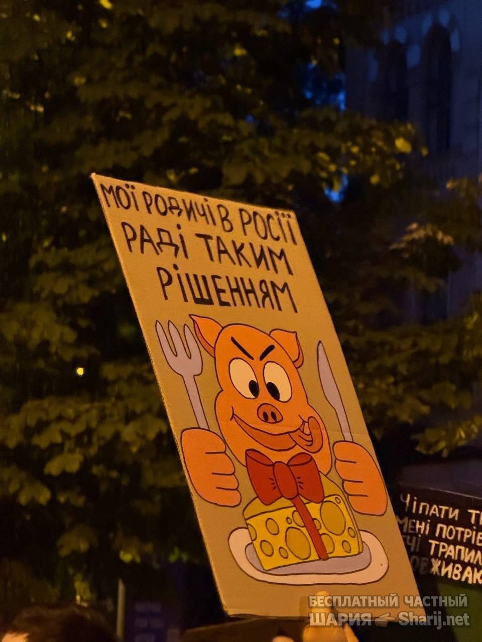Анатолий Шарий Telegram канал — фото из публикации