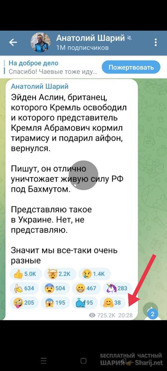 Анатолий Шарий Telegram канал — фото из публикации
